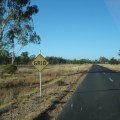 DSC03560