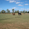DSC03576