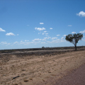 DSC03702