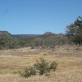 DSC03725