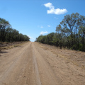 DSC03733