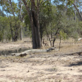 DSC03744