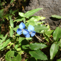 DSC03814