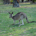 DSC03959