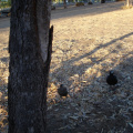 DSC04075