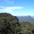 DSC04385