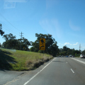 DSC04422