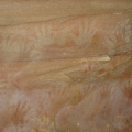 DSC04444