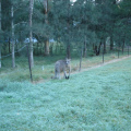 DSC04478