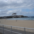 DSC04556