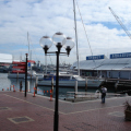 DSC04656