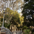 DSC04876
