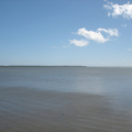 DSC05007