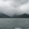 DSC05024