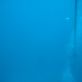 DSC05033