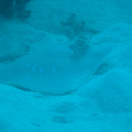 DSC05076