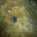 DSC05091