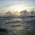 DSC05096