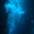 DSC05113