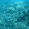 DSC05170
