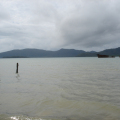 DSC05185