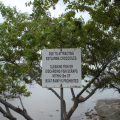 DSC05200