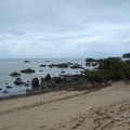 DSC05201