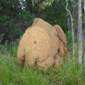 DSC05280