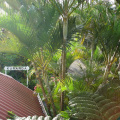 DSC05284
