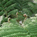 DSC05285
