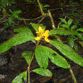 DSC05319