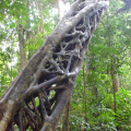 DSC05324