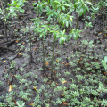 DSC05353