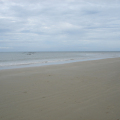 DSC05368