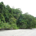 DSC05369