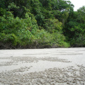 DSC05370