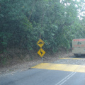 DSC05391