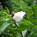 DSC05410
