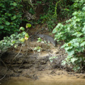 DSC05433