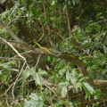 DSC05445