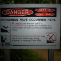 DSC05451