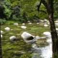 DSC05452