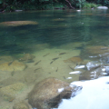 DSC05457