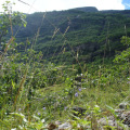 DSC08643