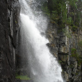 DSC08716