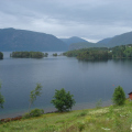 DSC08735