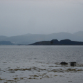 DSC08887