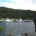 DSC08918
