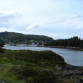 DSC08946