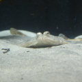 DSC08990